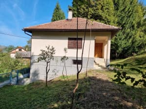 manor/house and land