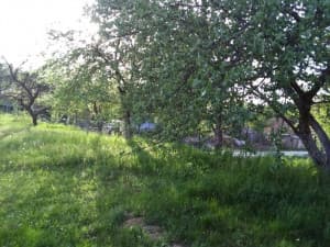 House Stanari and photo 6
