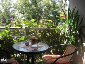 House Lukavac City photo 13