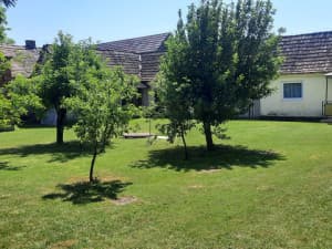 HOUSE FOR SALE WITH PLOT 1600m2 photo 6