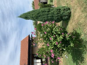 House Tuzla 60m2 photo 11