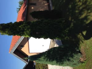 House Tuzla 60m2 photo 13