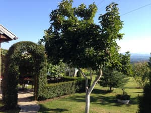 House Tuzla 60m2 photo 15