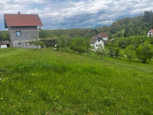 House in Rogatica, village Jarovici in Socica (95m2) and 13 decares photo 14