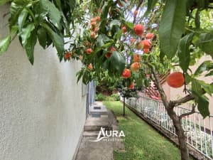 AURA / Top House / 3 x Apartment / Peiton, Ilidža photo 6