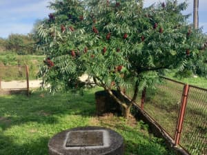 House Land Doboj photo 9