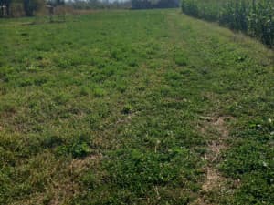 House Land Doboj photo 10