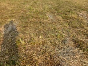House Land Doboj photo 5
