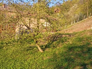 PRODAJA IMANJA-2 KUĆE+VELIKO ZEMLJIŠTE-DOBOJ(Prizrenska ulica) photo 5