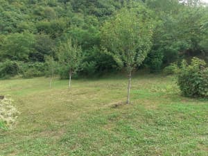 PRODAJA KUĆE JAJCE photo 7