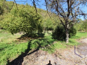 LOCATION: Furnished restaurant with fish pond, Ljubina, Ilijaš photo 13
