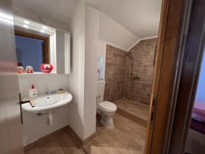 Gornje Vlakovo house for sale, pool photo 9