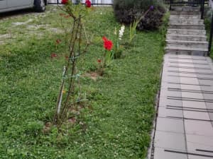 House Srebrenik