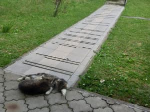 House Srebrenik photo 3
