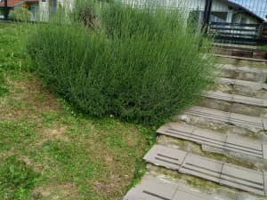 House Srebrenik photo 4
