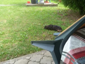 House Srebrenik photo 6