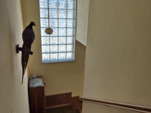 House Bugojno-Centar photo 14