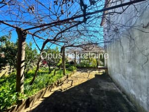 JANJINA, PELJEŠAC - house with yard and sea view photo 3