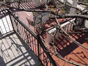 House with 5 apartments Zelenika Montenegro photo 4