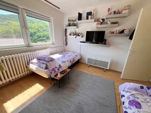 House with land, Ivana Cankara, Zenica photo 8