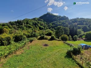 House Bogatići Trnovo photo 16