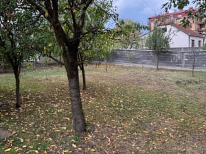 House Odžak photo 9