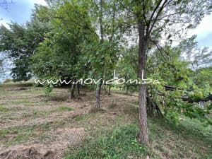 FOR SALE - with house - DŽAJE - BOSANSKA KRUPA photo 17