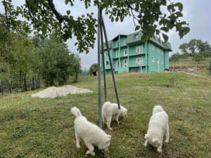 Commercial Space Konjic photo 10