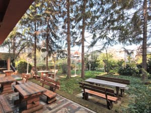 m2: Commercial property approx. 1,050m2 / Novo Sarajevo / Hrasno photo 14