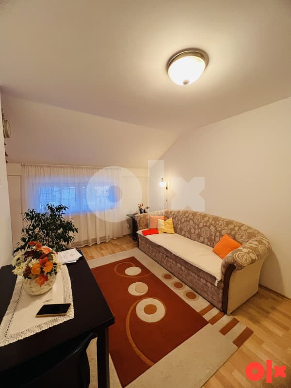 Apartment Pale 39m2