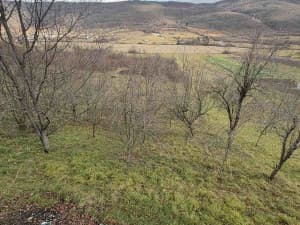 FOR SALE - House - RIPAČ - BIHAĆ photo 5