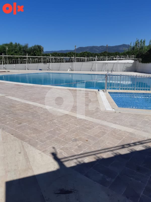 Apartment near the sea - for summer vacation photo 3