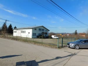 2 OBJECTS: residential and commercial 393m2, plot 3527m2 - Veliko Blaško photo 4