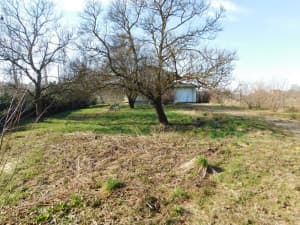 2 OBJECTS: residential and commercial 393m2, plot 3527m2 - Veliko Blaško photo 6