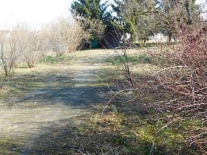 2 OBJECTS: residential and commercial 393m2, plot 3527m2 - Veliko Blaško photo 7