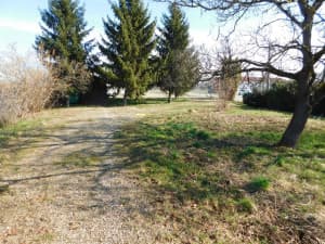 2 OBJECTS: residential and commercial 393m2, plot 3527m2 - Veliko Blaško photo 8