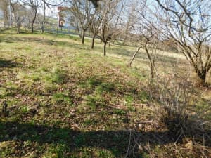 2 OBJECTS: residential and commercial 393m2, plot 3527m2 - Veliko Blaško photo 9