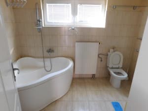 2 OBJECTS: residential and commercial 393m2, plot 3527m2 - Veliko Blaško photo 20