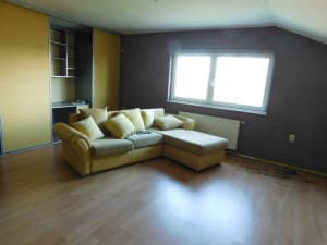 2 OBJECTS: residential and commercial 393m2, plot 3527m2 - Veliko Blaško photo 24