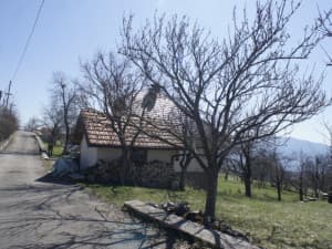House Sarajevo - Center photo 5