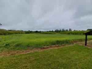 House with land of 14 ares and auxiliary buildings photo 7