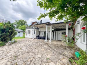 Villa House Rakovica, Šamin Gaj 200m2 with pool photo 18