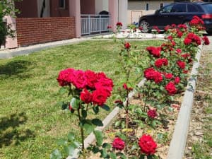 House for sale in Kalesija photo 2