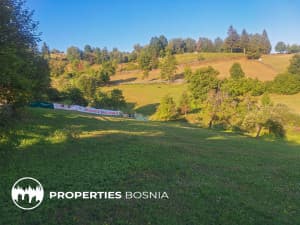 House with 10,000m2 of land photo 11