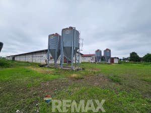 Pilićari, 6 properties on 20 dN, Razboj Ljevčanski photo 3