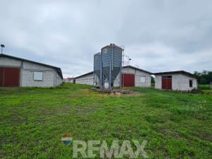 Pilićari, 6 properties on 20 dN, Razboj Ljevčanski photo 4