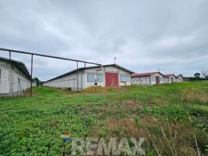 Pilićari, 6 properties on 20 dN, Razboj Ljevčanski photo 7