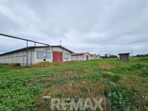Pilićari, 6 properties on 20 dN, Razboj Ljevčanski photo 8