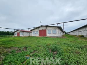 Pilićari, 6 properties on 20 dN, Razboj Ljevčanski photo 9