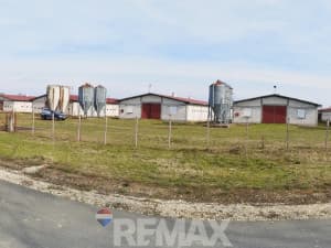 Pilićari, 6 properties on 20 dN, Razboj Ljevčanski photo 13